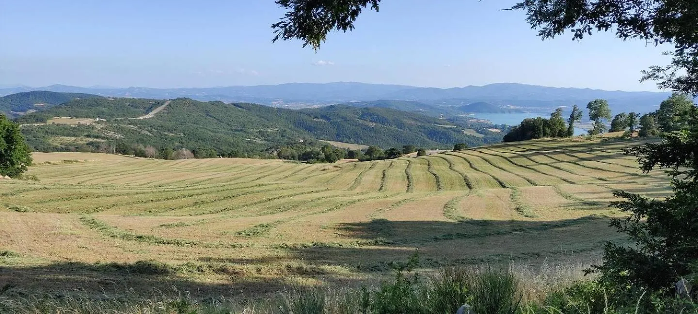 Dolce Vita Villa Caprile