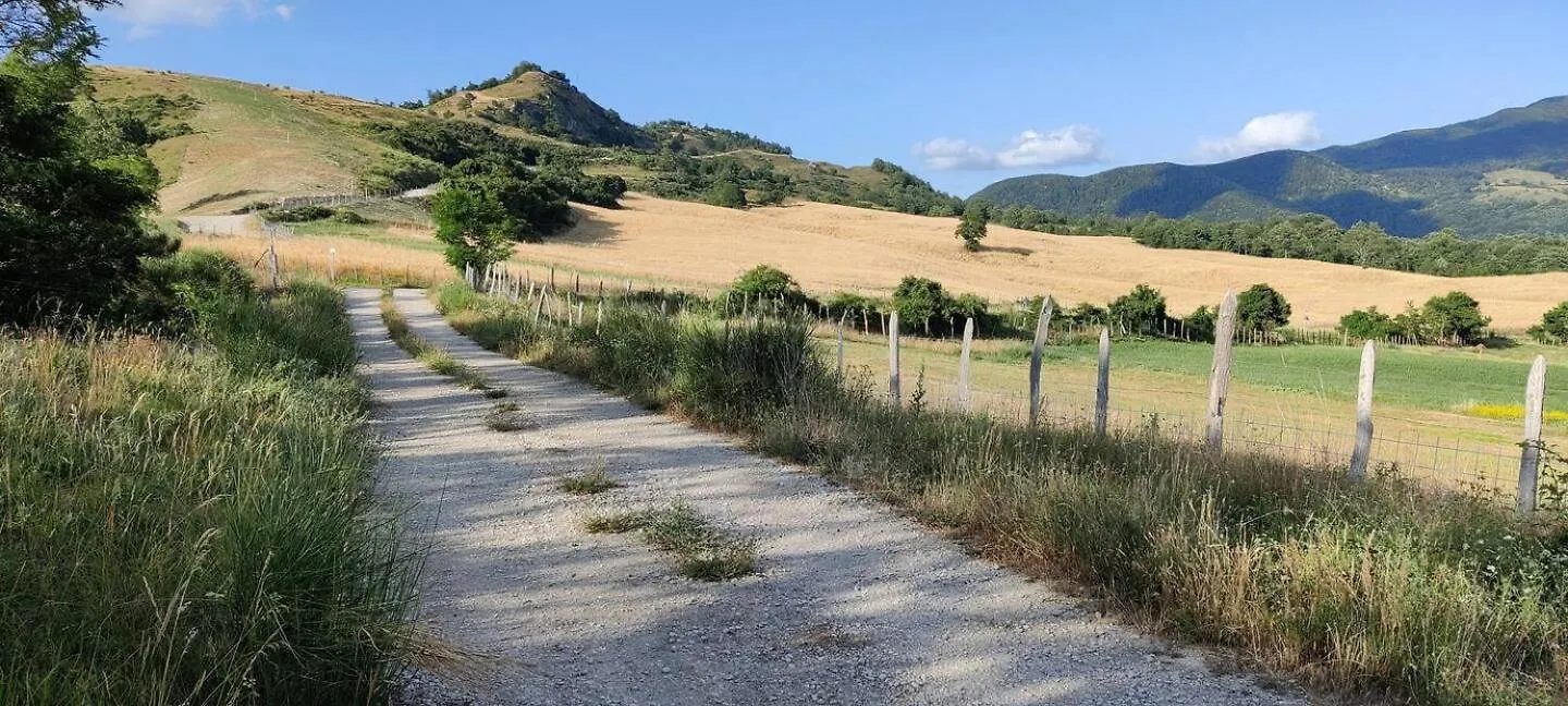 Dolce Vita Villa Caprile  펜션 Caprile (Tuscany)